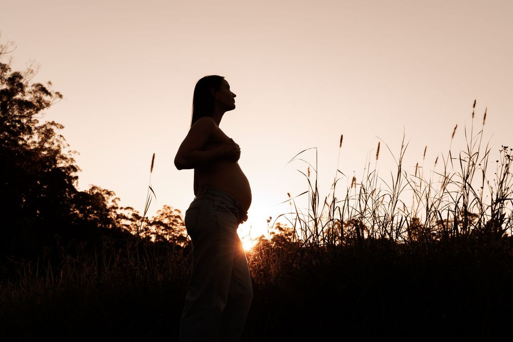 Silhouette of a pregnant woman in profile against a glowing sunset sky, with tall grasses in the foreground.