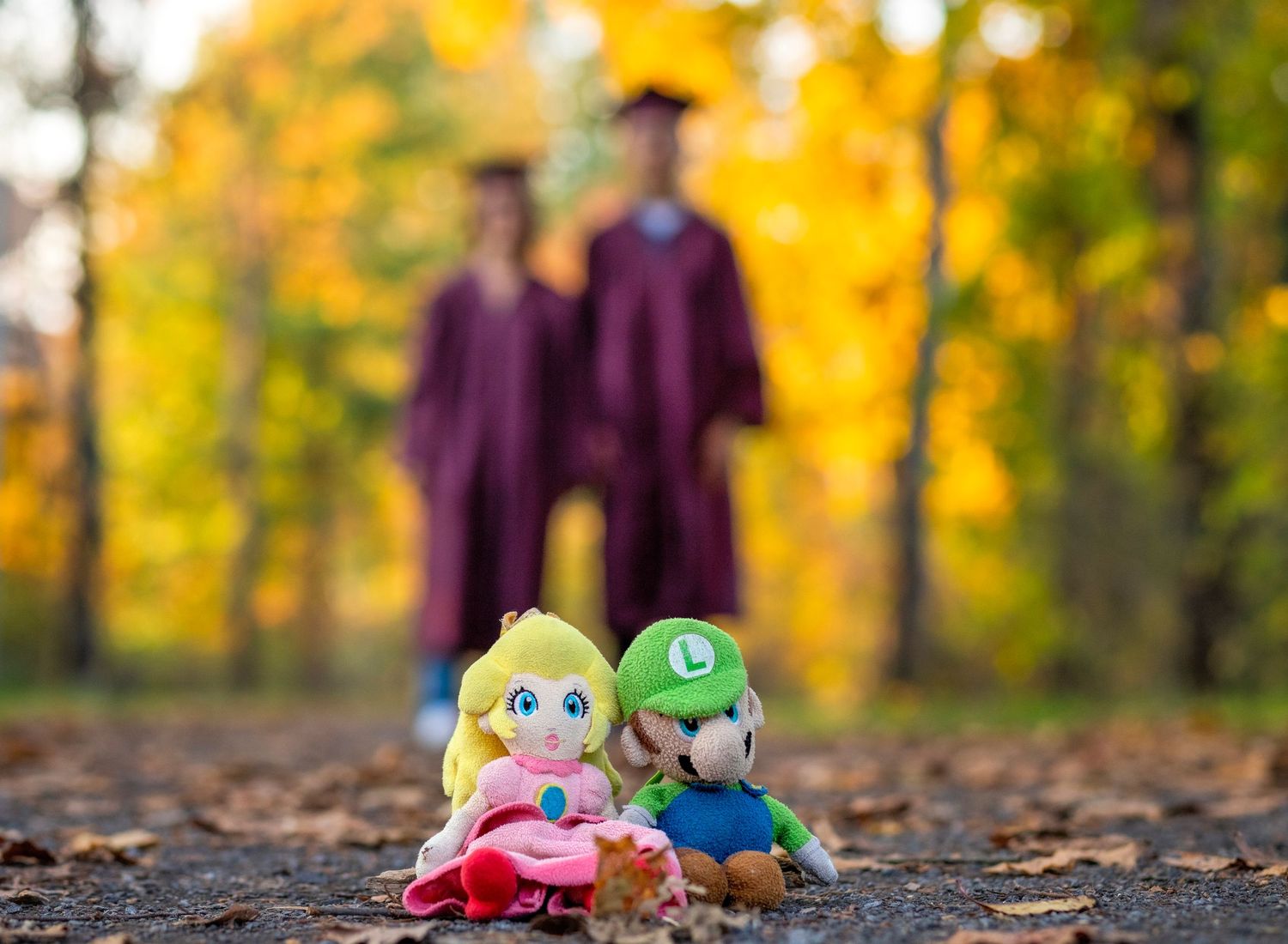 Princess Peach and Luigi plush toys in foreground with two graduates in maroon robes posing outdoors in fall.