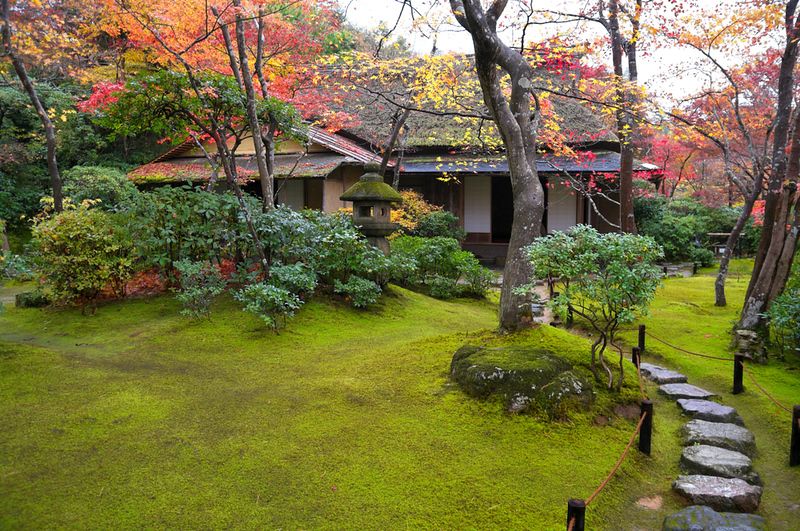 Traditional Japanese garden with moss lawn, stone path, and autumn foliage surrounding a historic wooden tea house.