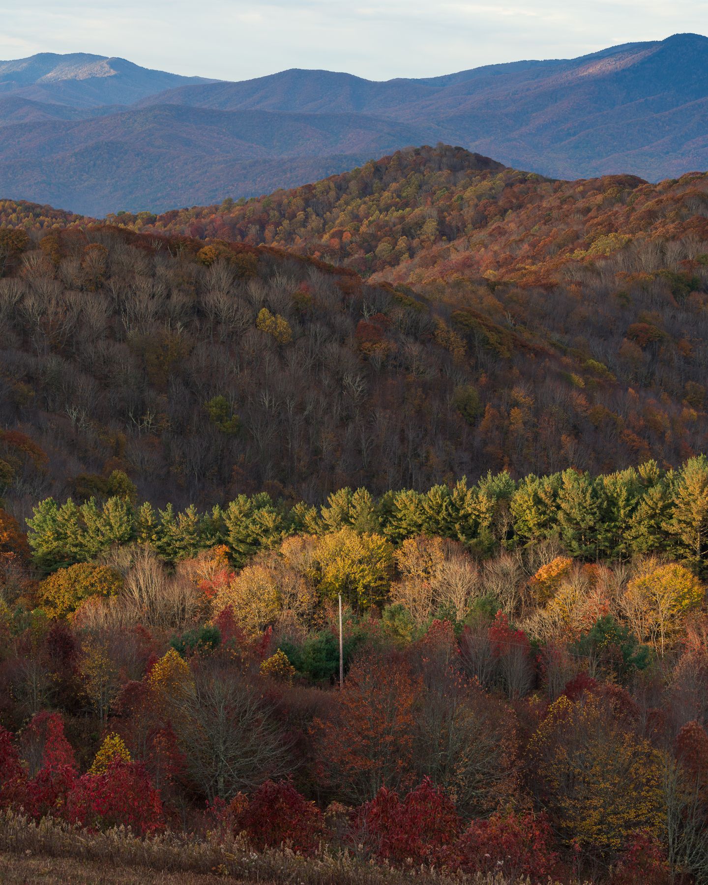 Vibrant autumn foliage covers rolling Appalachian mountain hills, showcasing red, orange, and green trees under a blue sky.