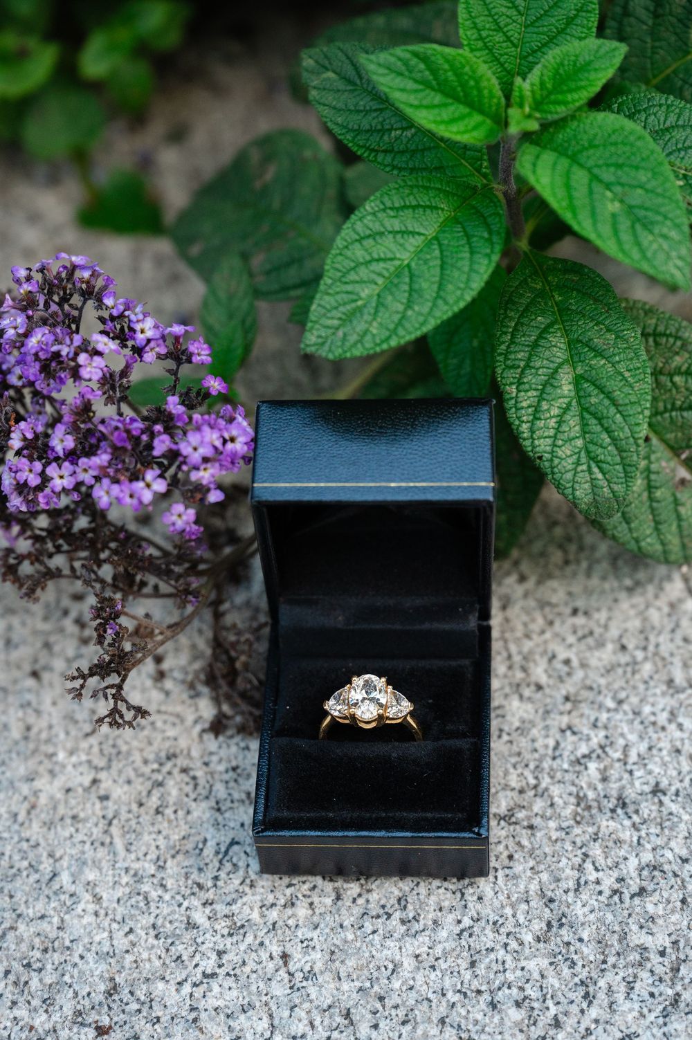 Gold diamond ring in black velvet box surrounded by purple flowers and green leaves on stone surface.
