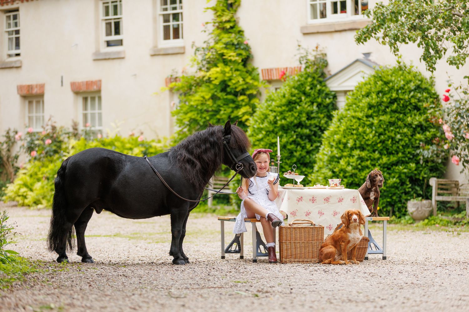 A series of seven photos showing a white horse and rider interacting at a wooden fence in an outdoor setting.