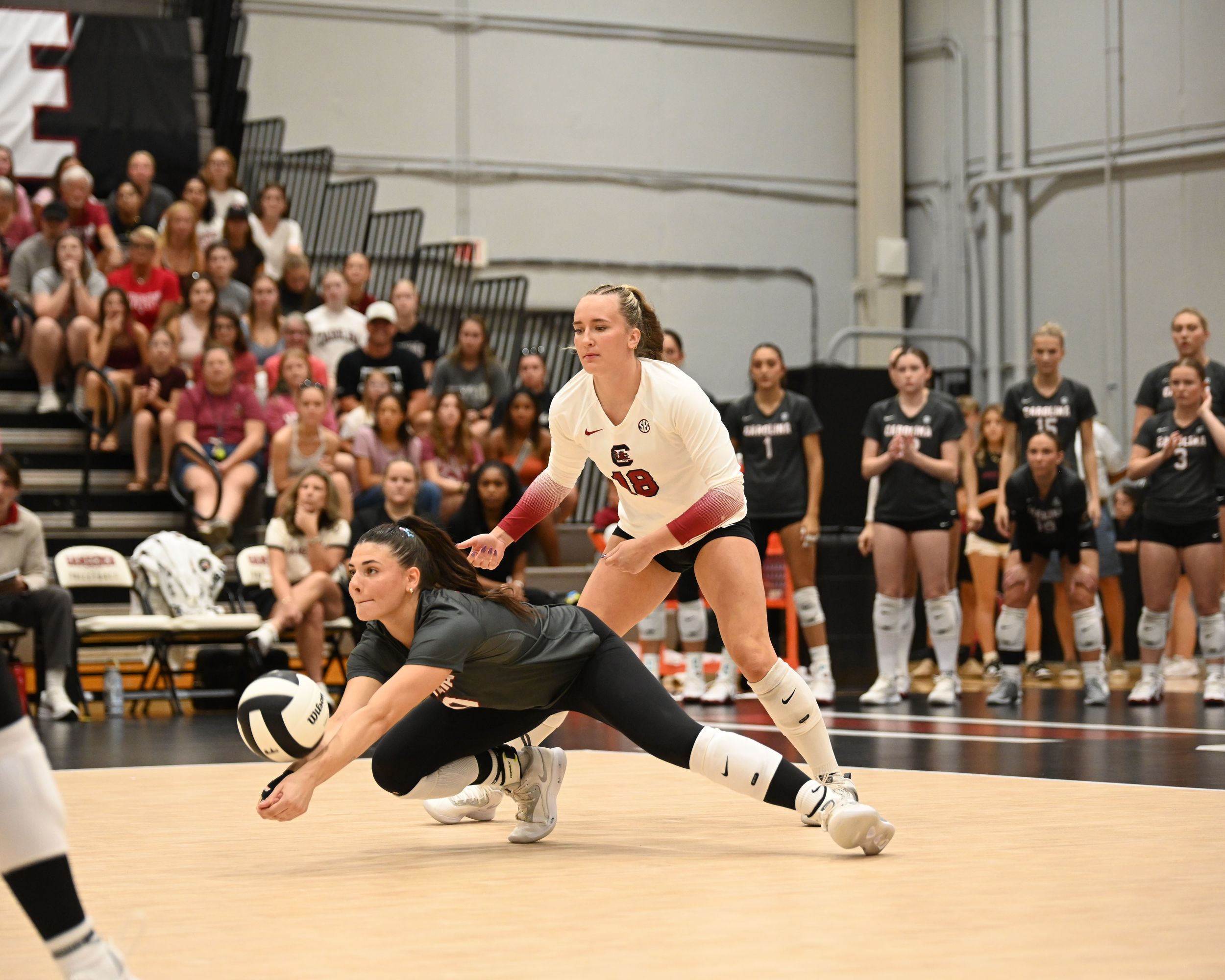 Volleyball libero dives forward with arms extended to dig the ball during a match.