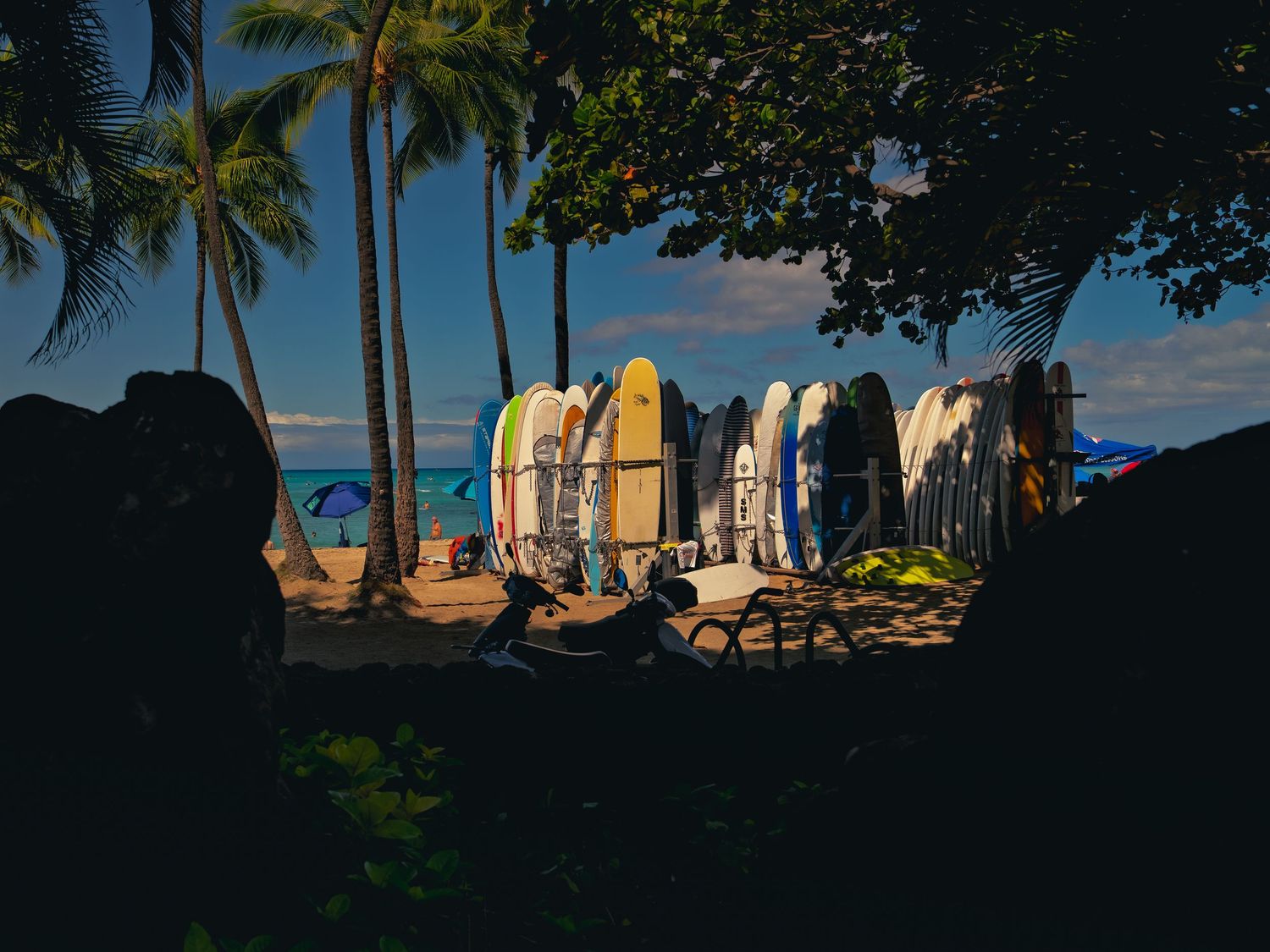 Rows of colorful surfboards stand racked upright on the sand at Waikiki, framed by tall palm trees with the turquoise ocean beyond.