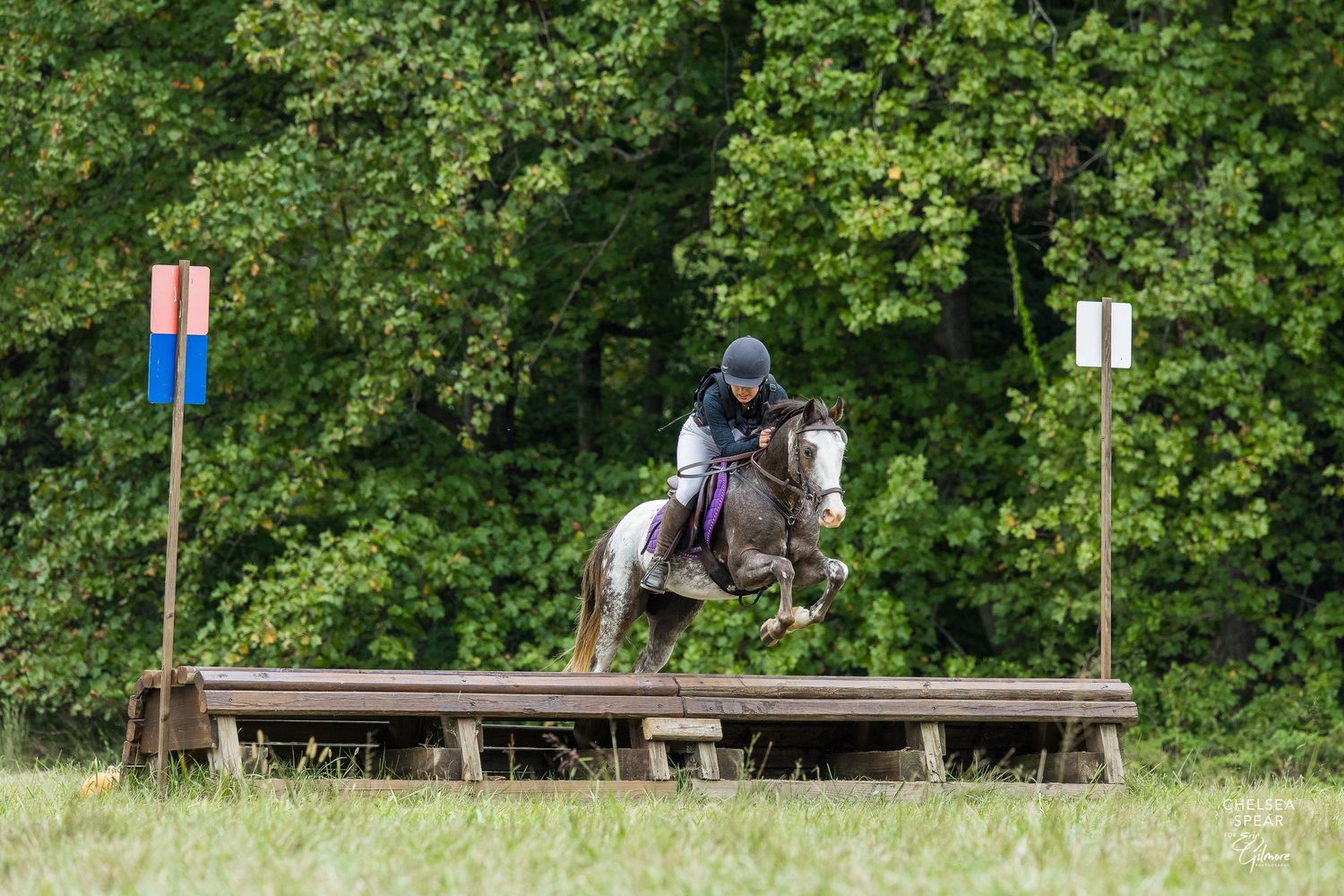 Equestrian rider on a bay horse jumping over a cross-country fence during an eventing competition outdoors.