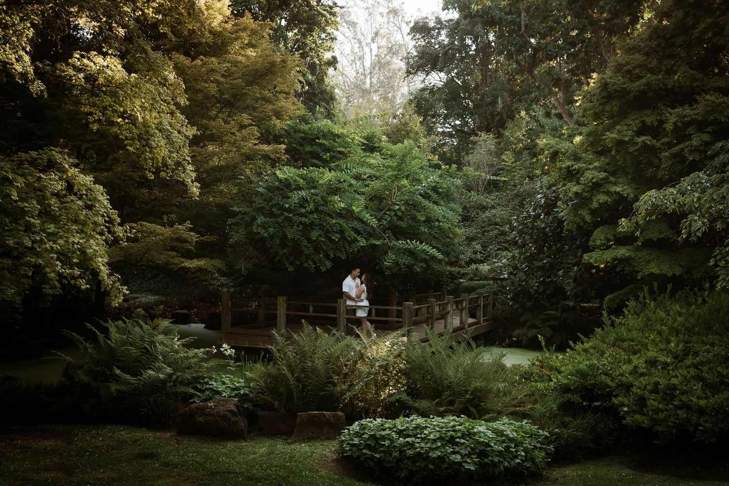 Serene garden landscape with lush greenery and winding pathway through trees.