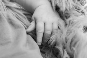 Gepassioneerde dieren en gezinsfotograaf