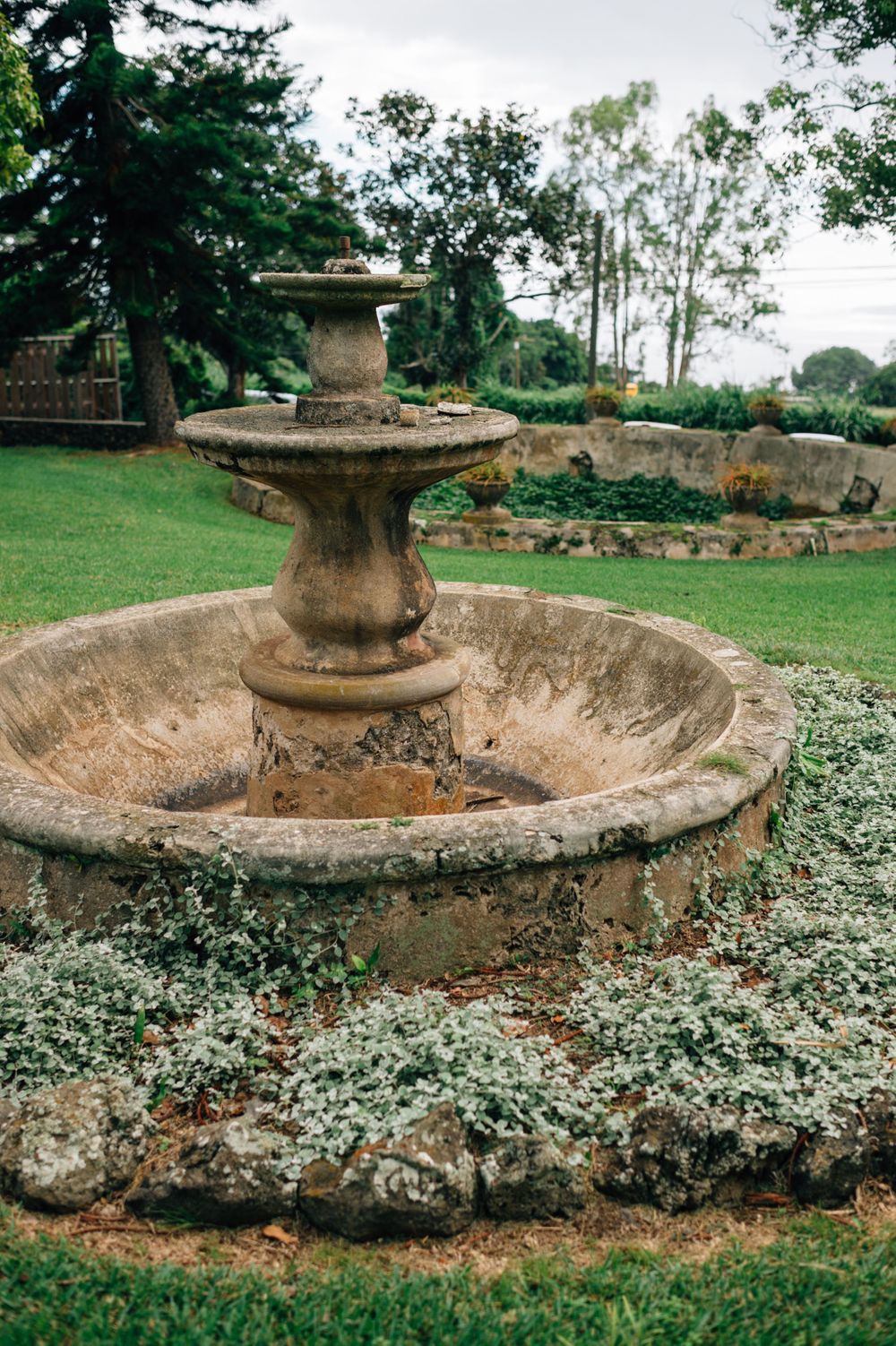 Old stone fountain with decorative tiers surrounded by flowering ground cover in a garden.