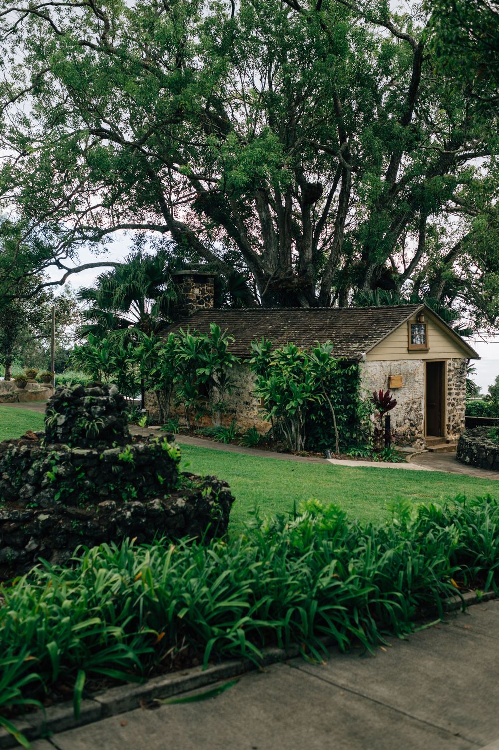 Historic ranch house surrounded by lush tropical gardens and palm trees in Hawaii.