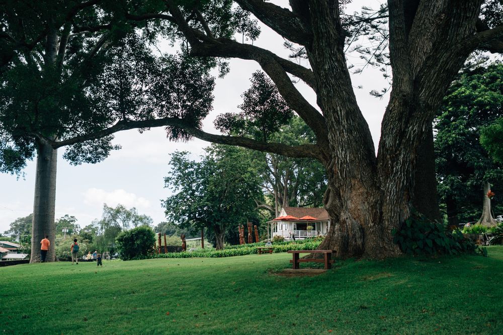 Panoramic view of sprawling green lawn with mature trees at a Hawaiian ranch.