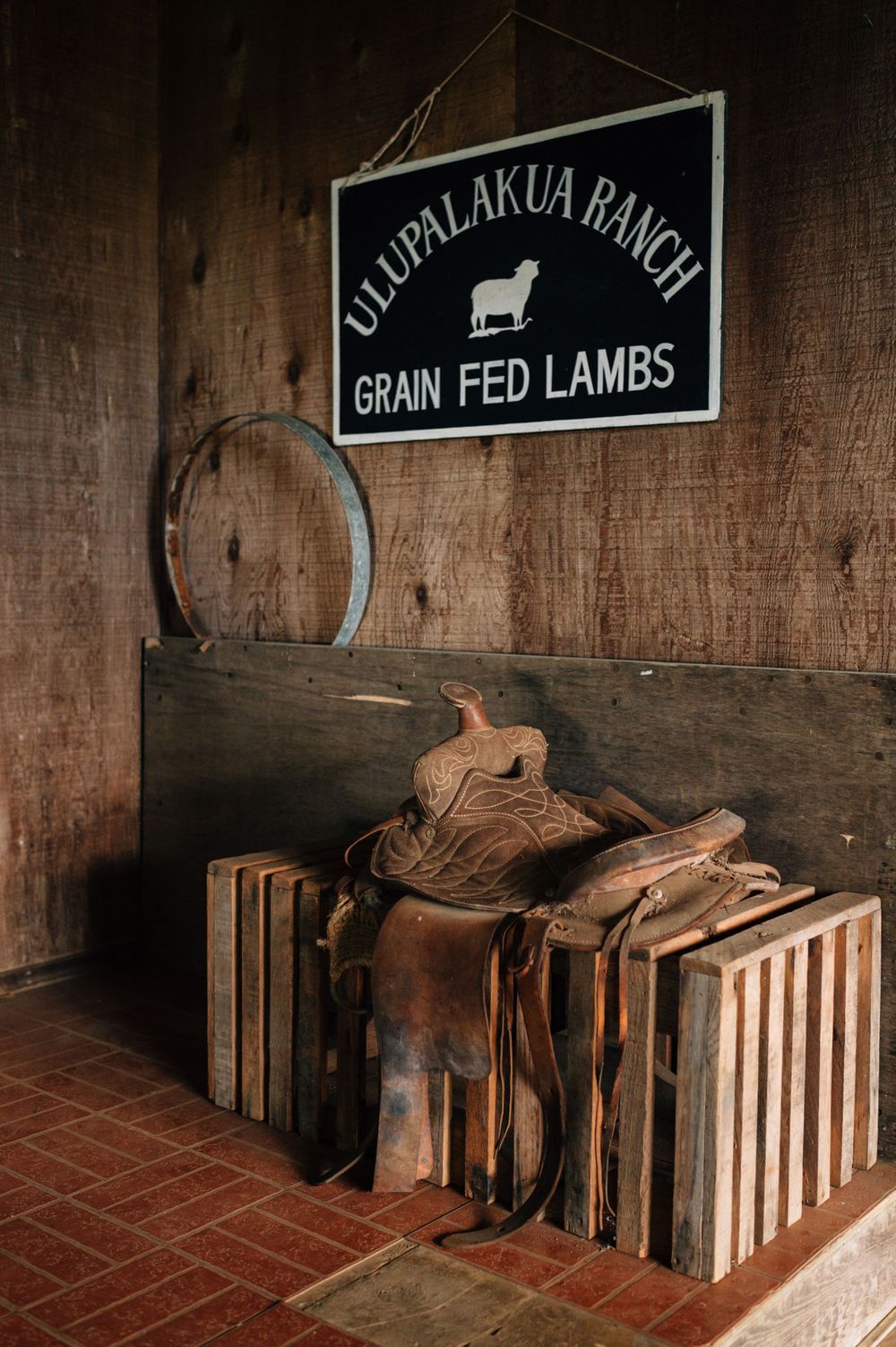 Vintage leather saddles displayed on wooden stands with ranch signage in rustic interior.