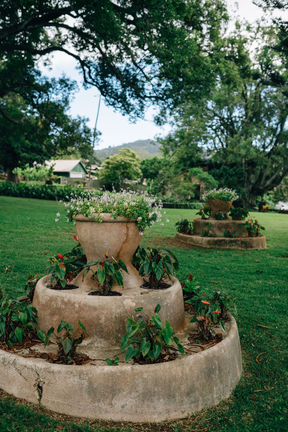 Curved concrete planter with tropical flowers and plants in a terraced garden setting.