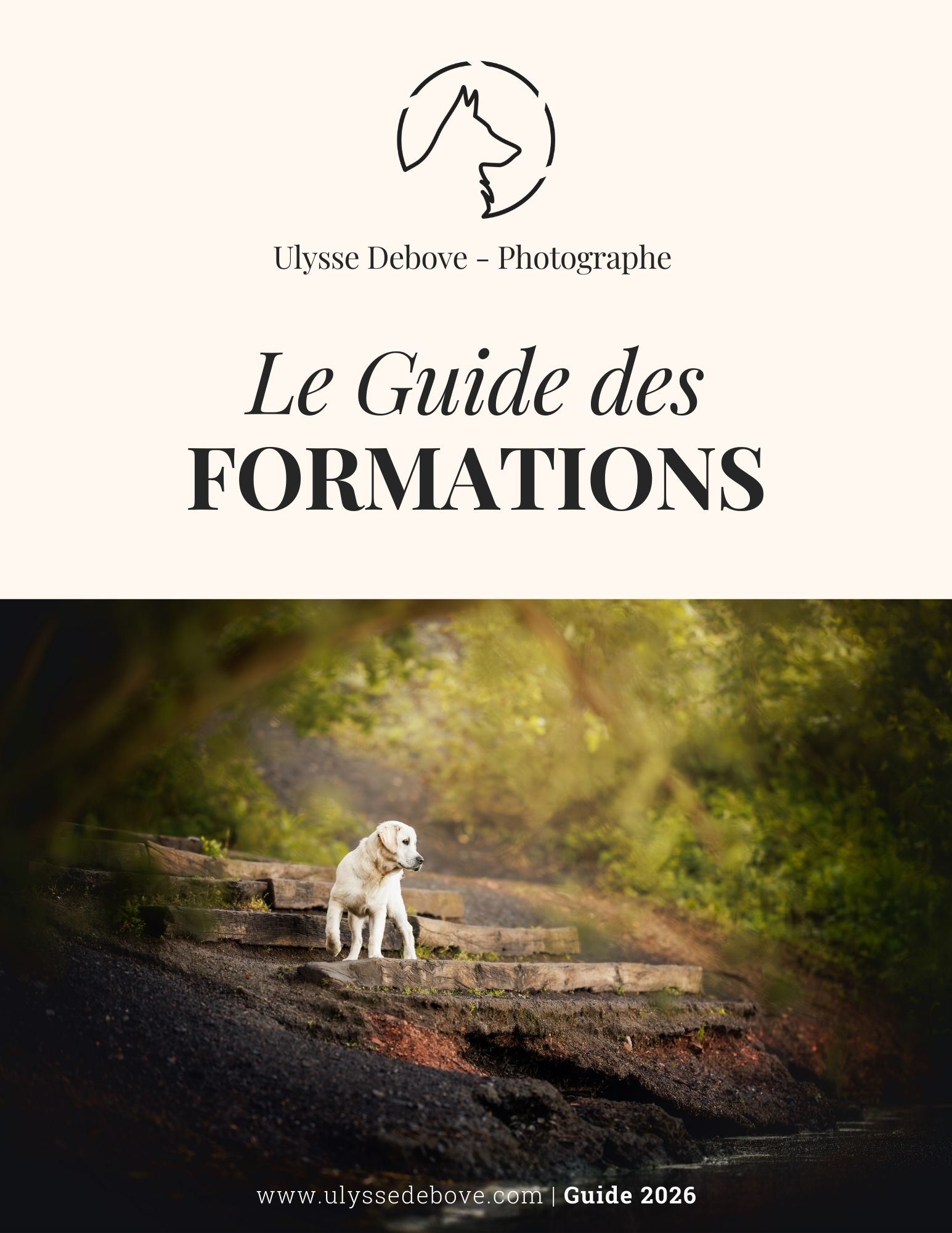 Professional training guide cover featuring a white dog sitting on a rocky path in golden sunlight.