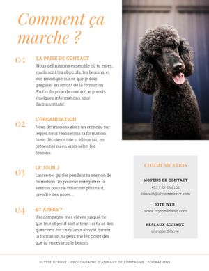 Interior pages of a photography training guide showing text layout and a black poodle image.