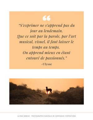 Minimalist design featuring inspirational quotes on orange backgrounds with silhouetted nature scenes.