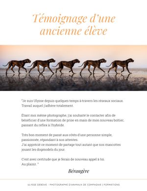 Silhouettes of five horses walking in sequence along a beach at sunset with French text overlay.