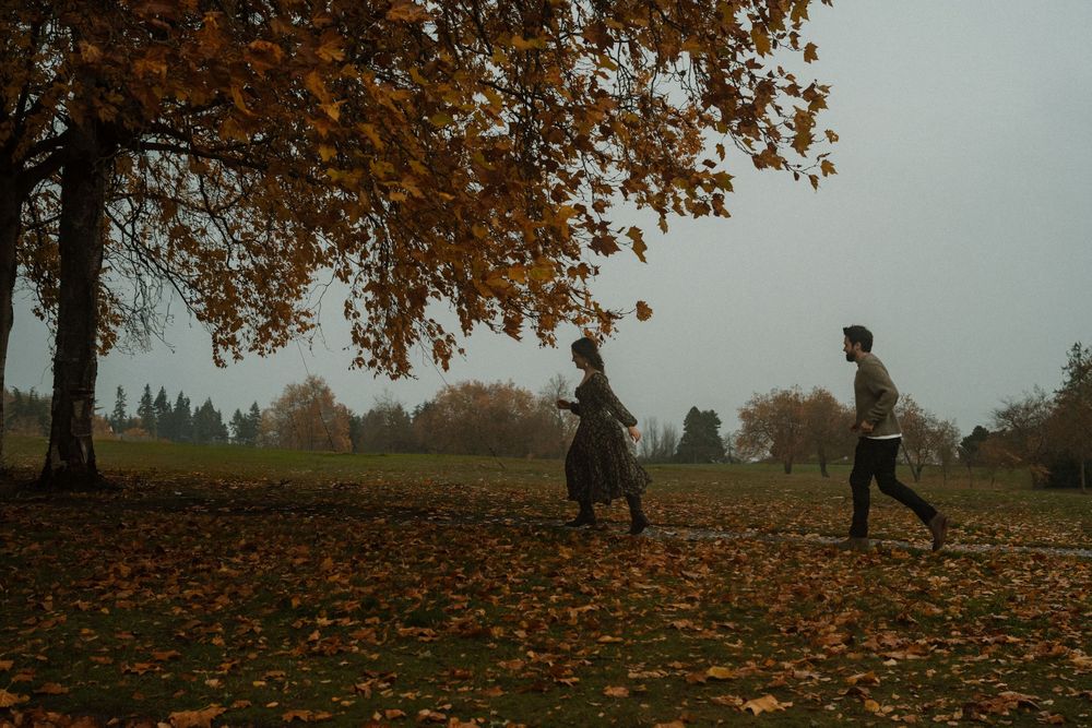 Silhouettes of people walking through a park with autumn trees in the background.