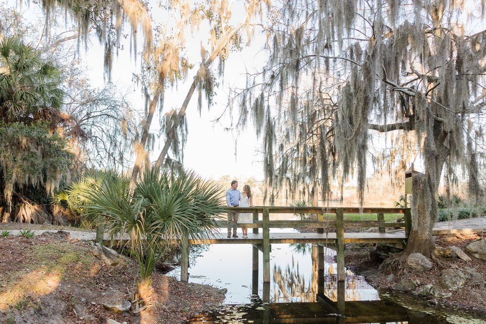 Spanish moss hangs from oak trees along a tranquil waterfront boardwalk in the southern wetlands.