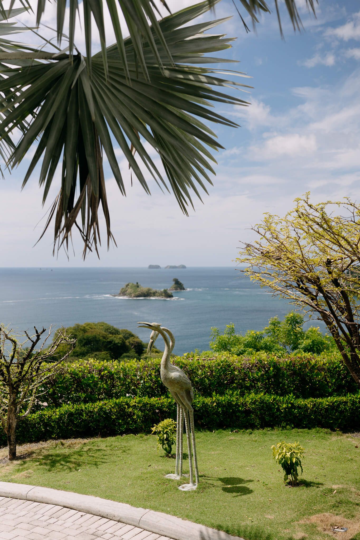 ocean view at las catalinas