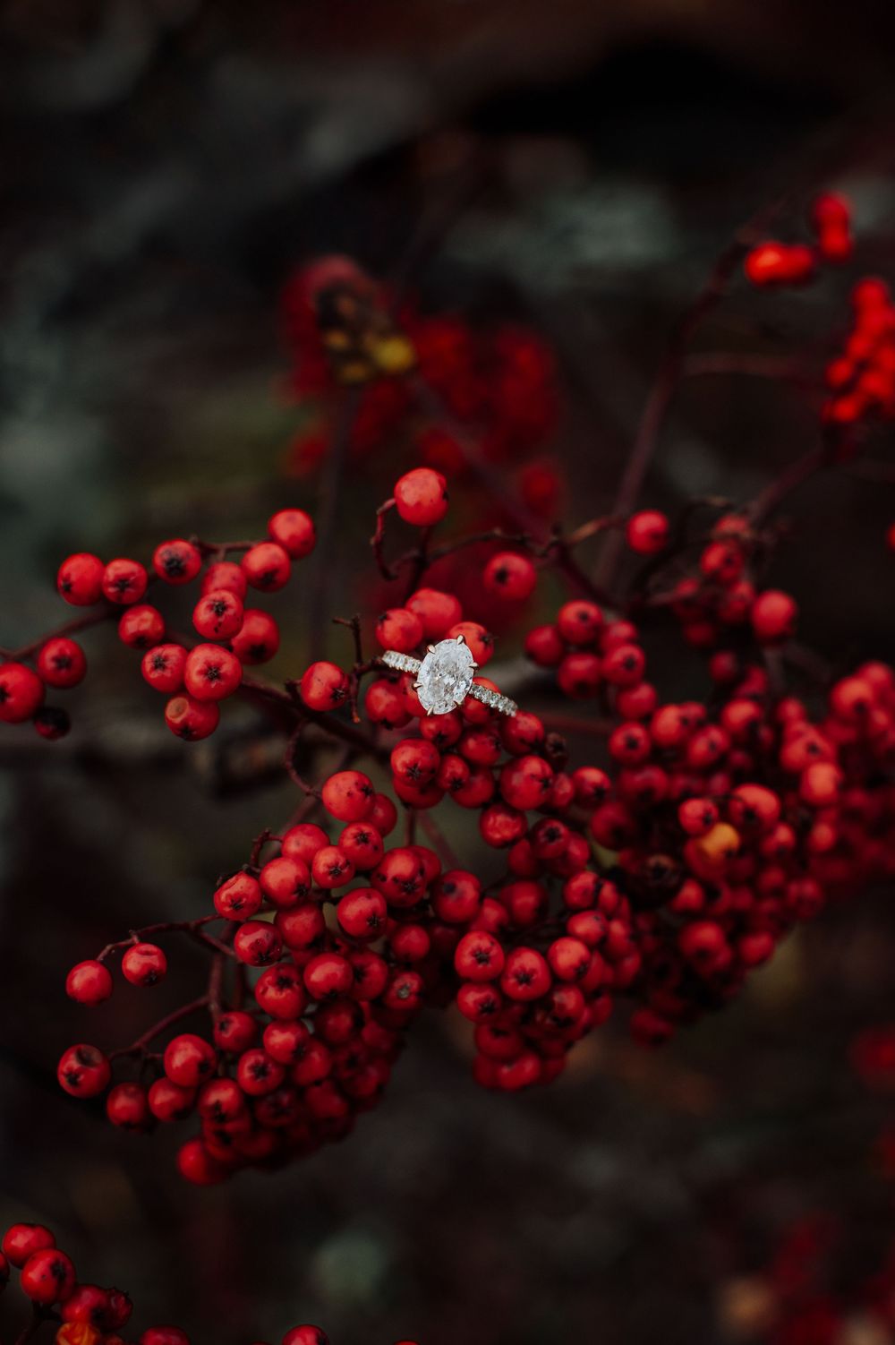 Autumn engagement ring at Rough Ridge Overlook in Asheville, North Carolina.