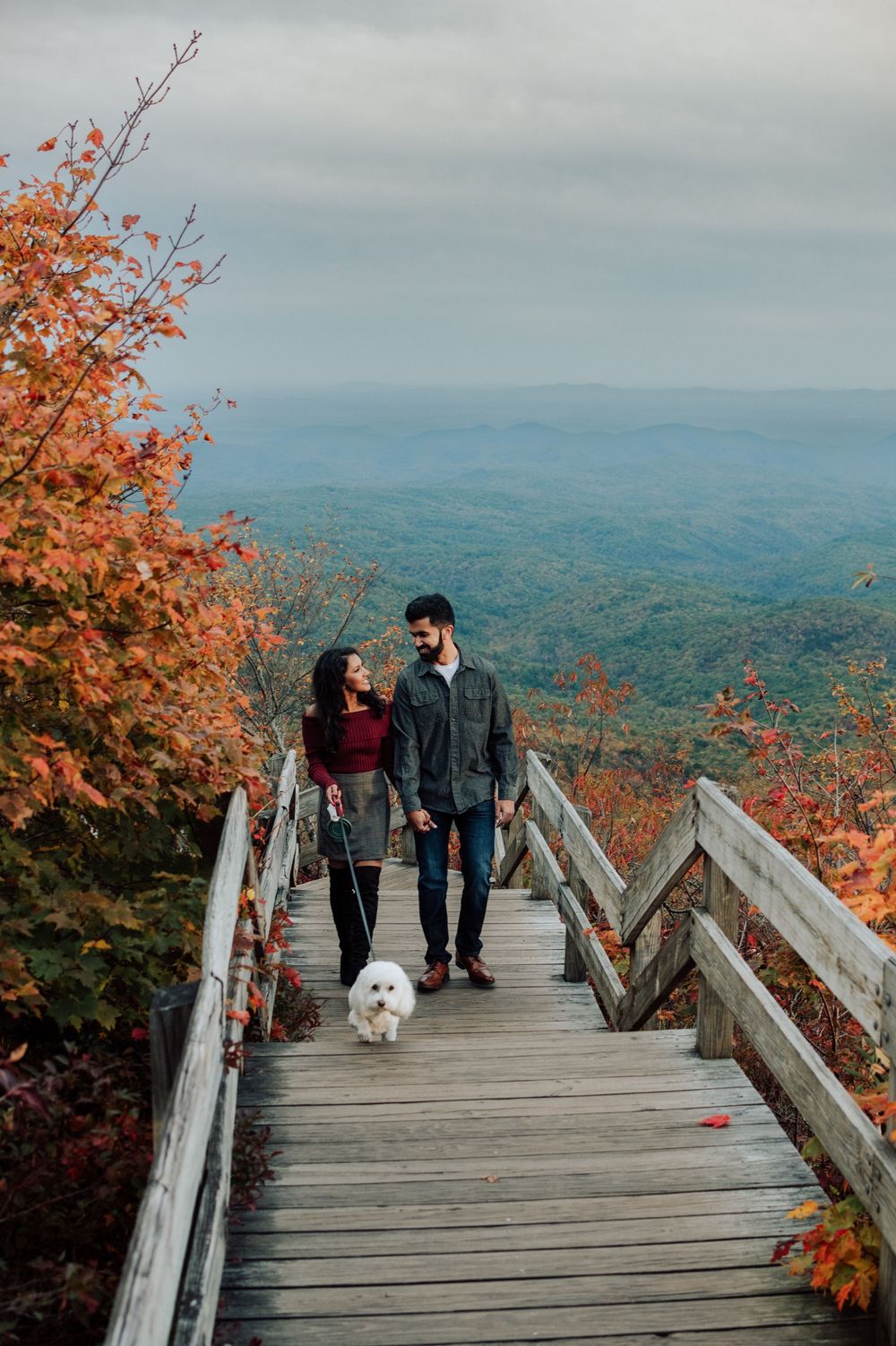Romantic fall engagement photos of couple and puppy at Rough Ridge Overlook in Asheville, North Carolina.