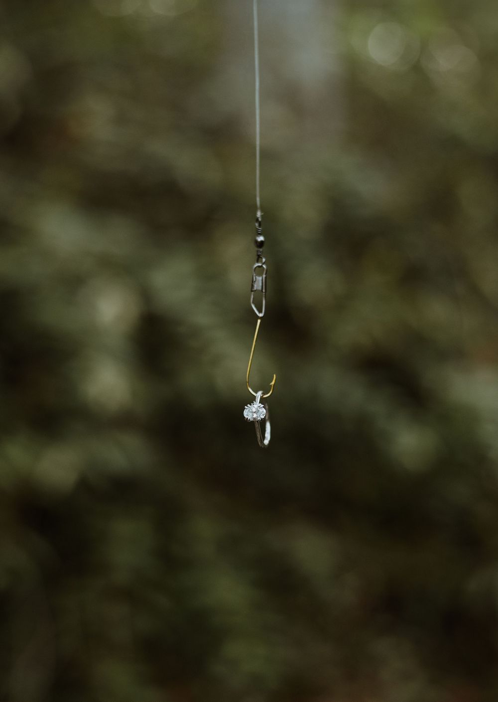 Close-up of couple’s engagement ring on fishing hook, Asheville Botanical Garden, Asheville, North Carolina.