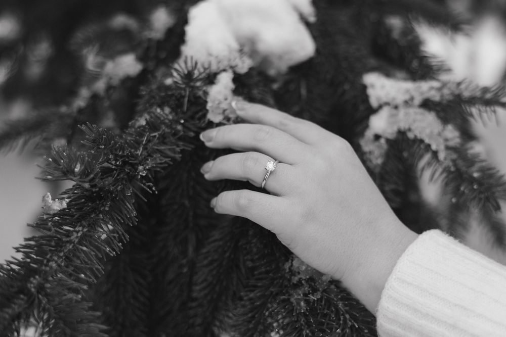 Hand reaching out to touch evergreen pine branches in a monochromatic winter scene.