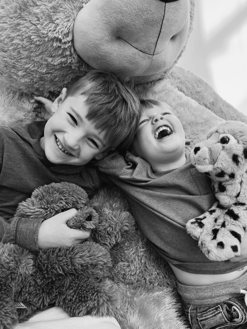 Black and white collage of people cuddling with their pets on a couch showing joyful bonding moments.