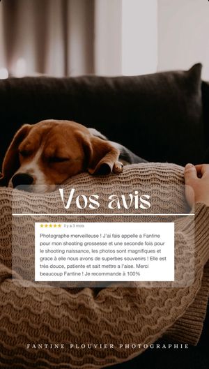 Photography review featuring a sleeping beagle on a knitted blanket.