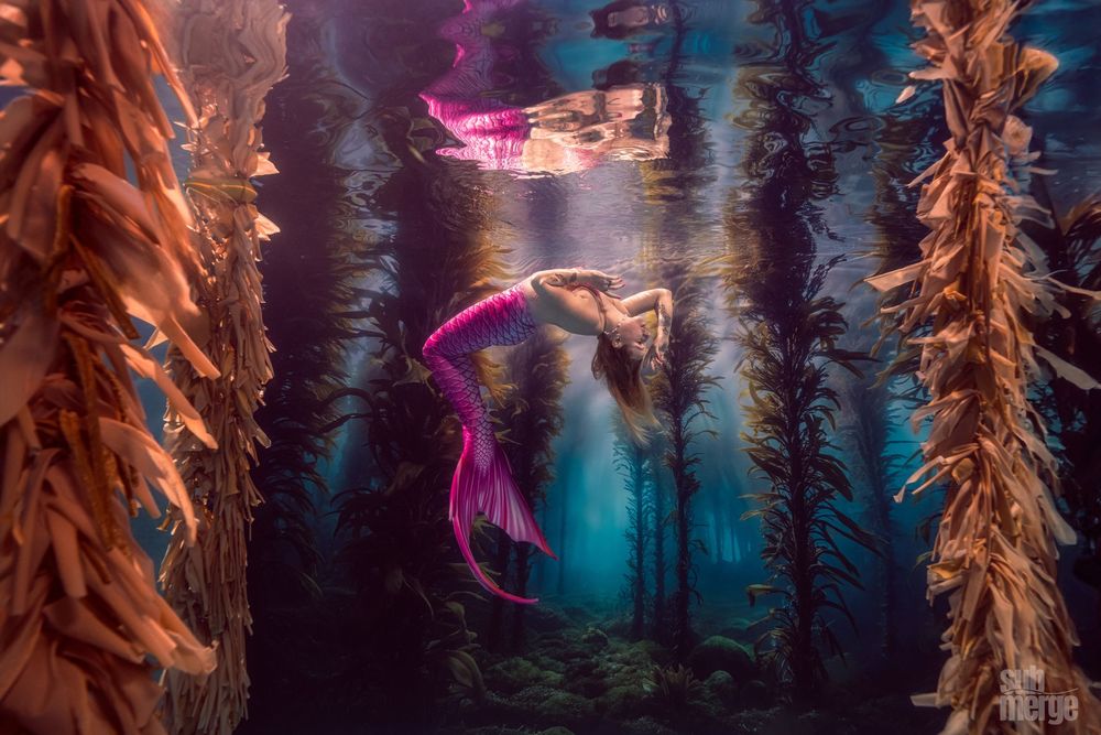 Colorful pink and blue lights illuminate a misty forest with tall trees creating a mystical nighttime atmosphere.