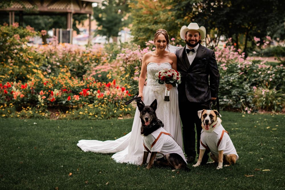 A portrait of a bride and groom with their two dogs in Lindsay, Ontario.