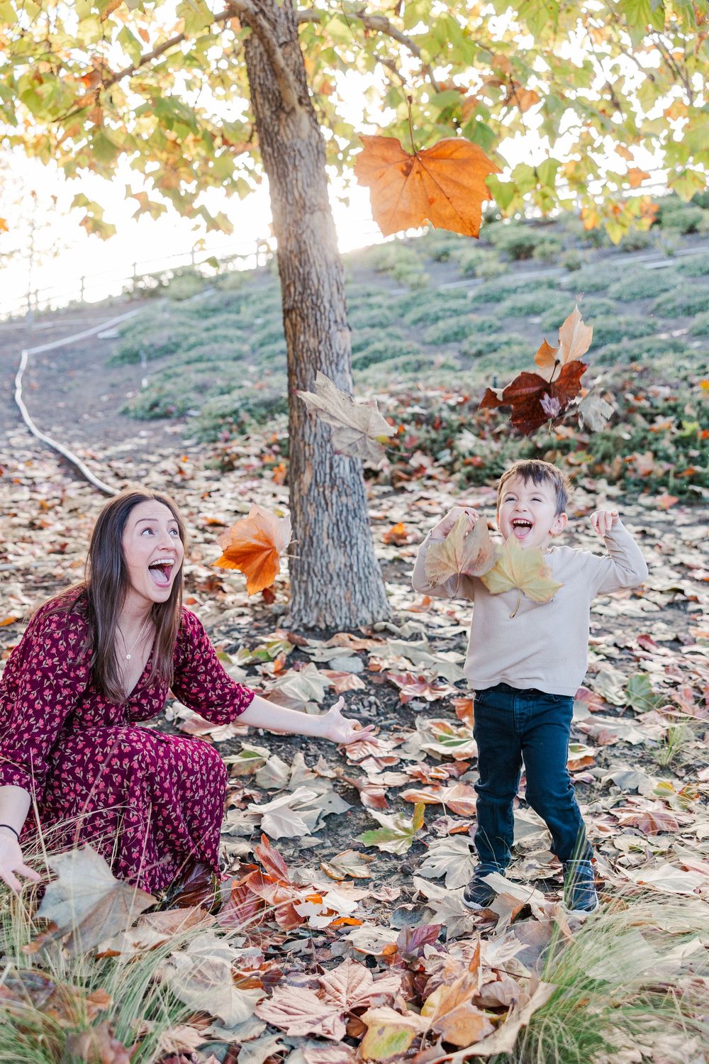 A joyful autumn scene with fallen leaves as two people play and laugh together under a tree on a hillside.