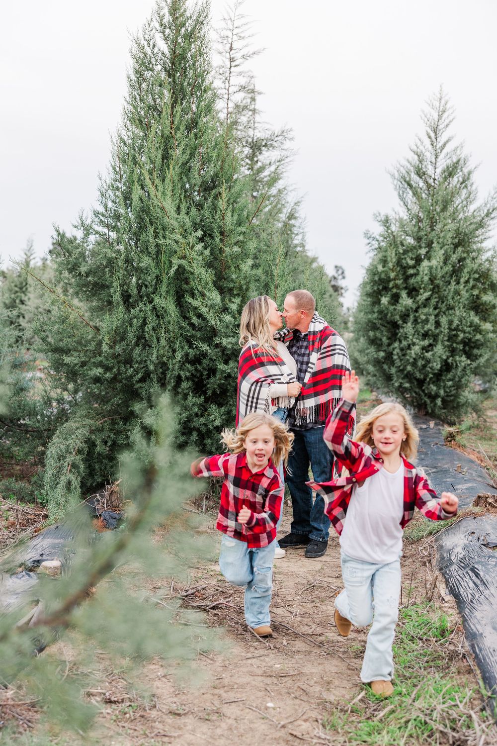 Family in plaid shirts walking through evergreen trees at a Christmas tree farm during winter.
