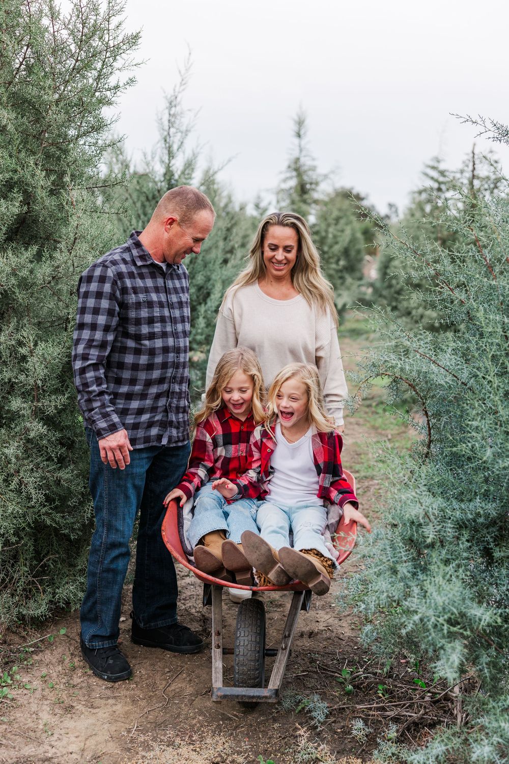 A family enjoys a playful moment together among evergreen trees at a Christmas tree farm during a photo session.