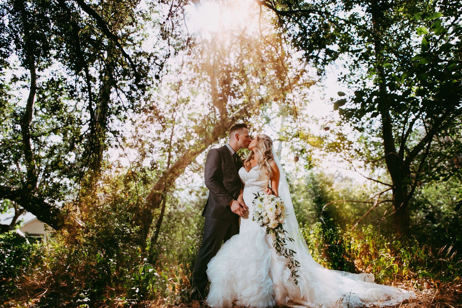 A romantic wedding couple embraces in a sun-dappled forest setting with golden light filtering through the trees.