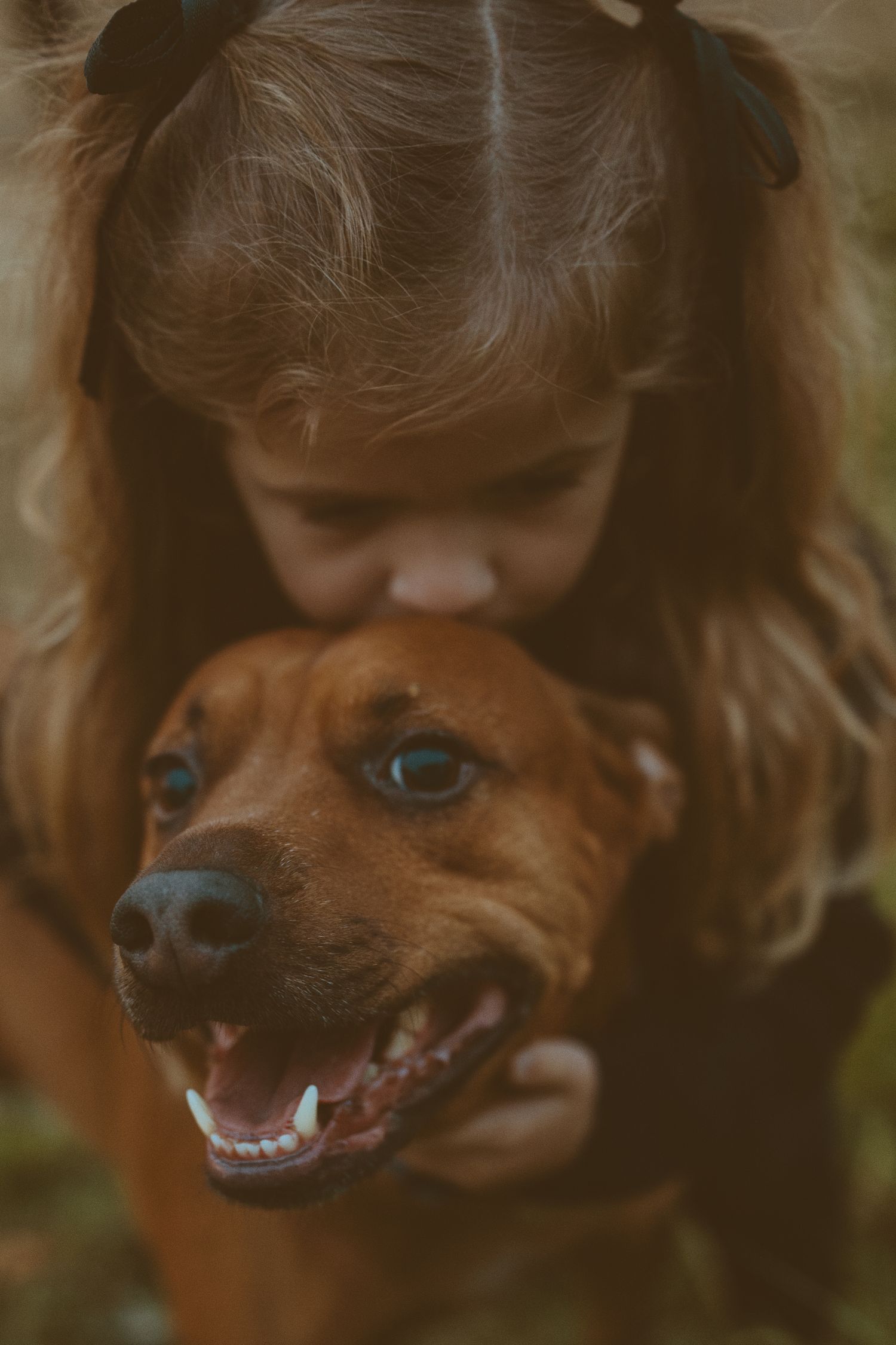 family session with pet