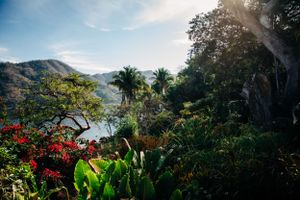 Lush tropical garden overlooks mountains with red flowers, palm trees and vibrant greenery in foreground against blue sky.