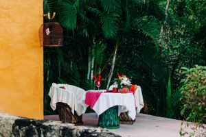 A romantic outdoor dining table set against a vibrant orange wall with lush tropical foliage in the background.