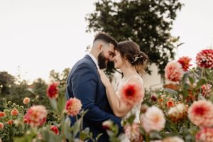 Romantic scene in a blooming coral flower garden during sunset.