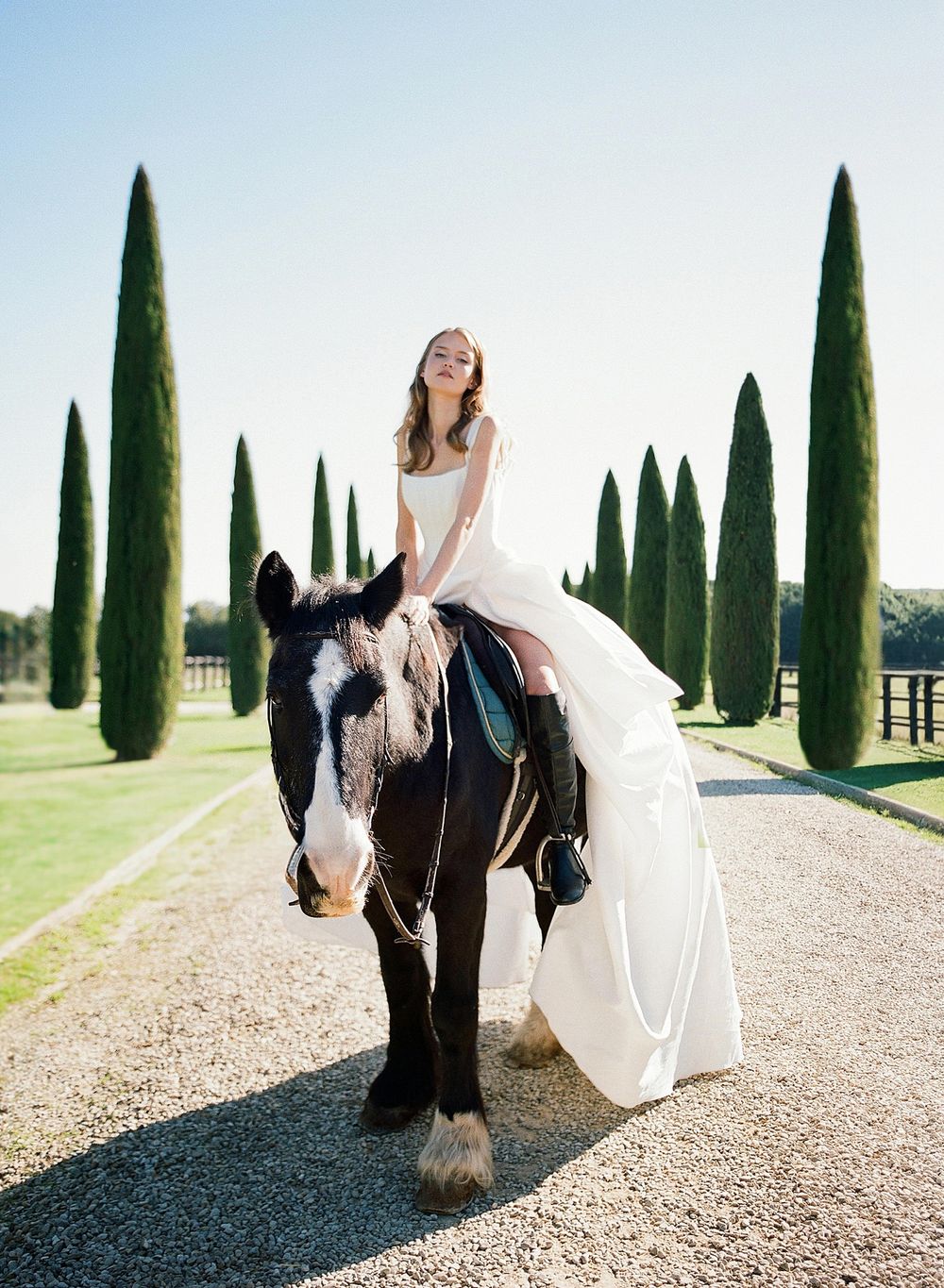 A flowing white wedding dress elegantly drapes over a majestic black horse along a cypress-lined path in golden sunlight.