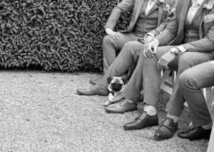 A pug dog sits between groomsmen's feet at a wedding, all wearing suits and dress shoes.