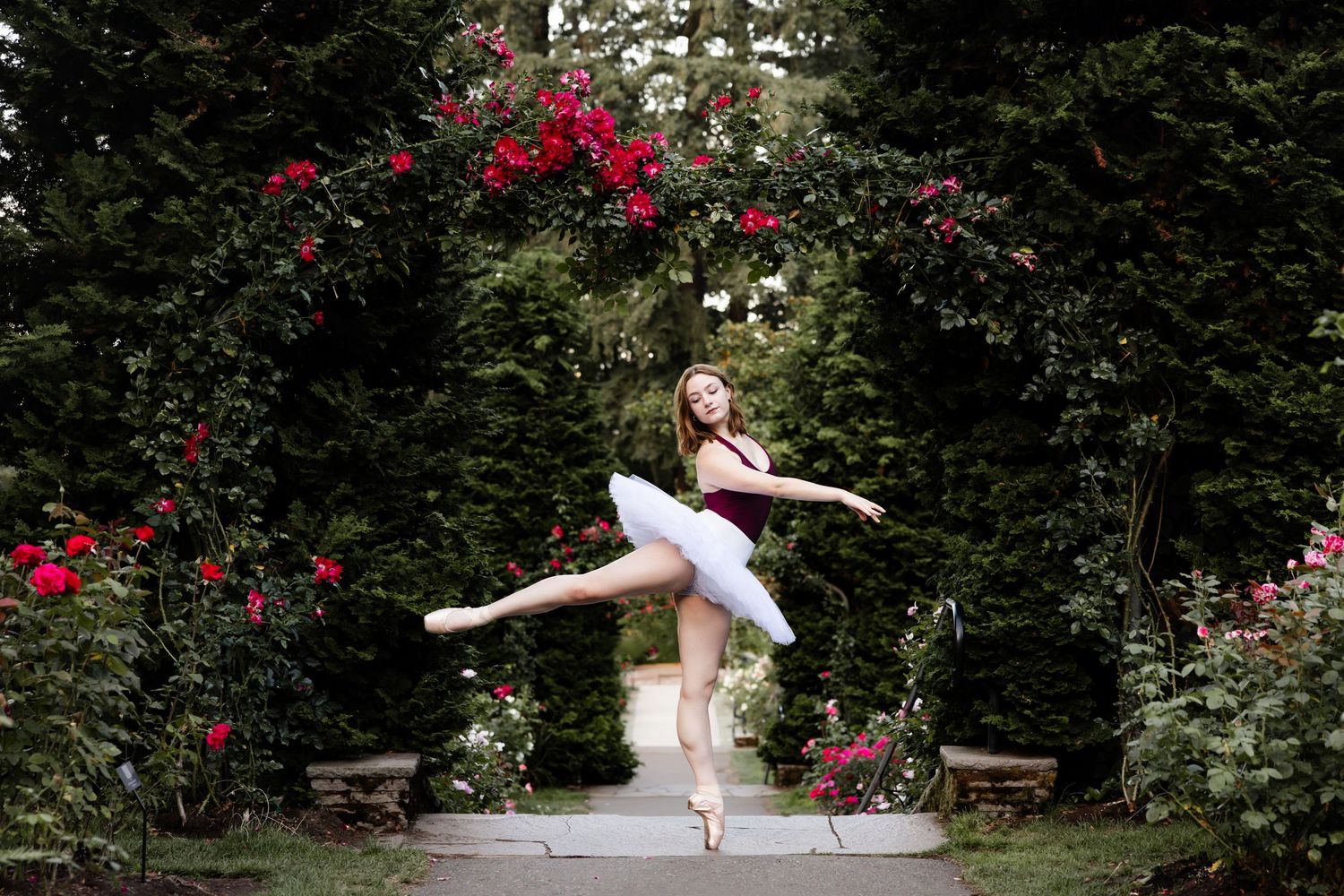 A ballet dancer performs an elegant pose in a garden archway surrounded by blooming red roses.