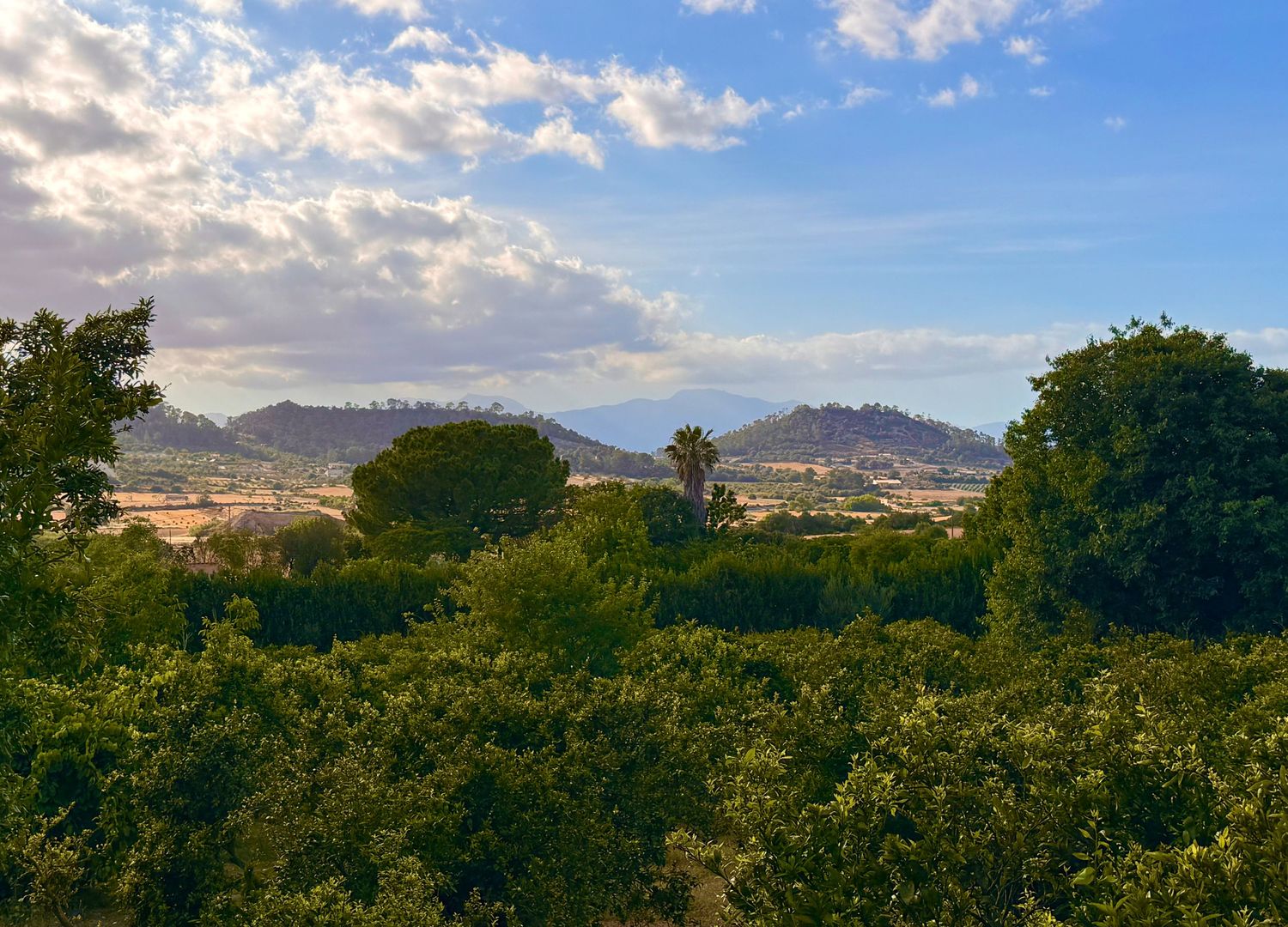 Panoramic landscape view of mountains and lush green trees under a partly cloudy blue sky.