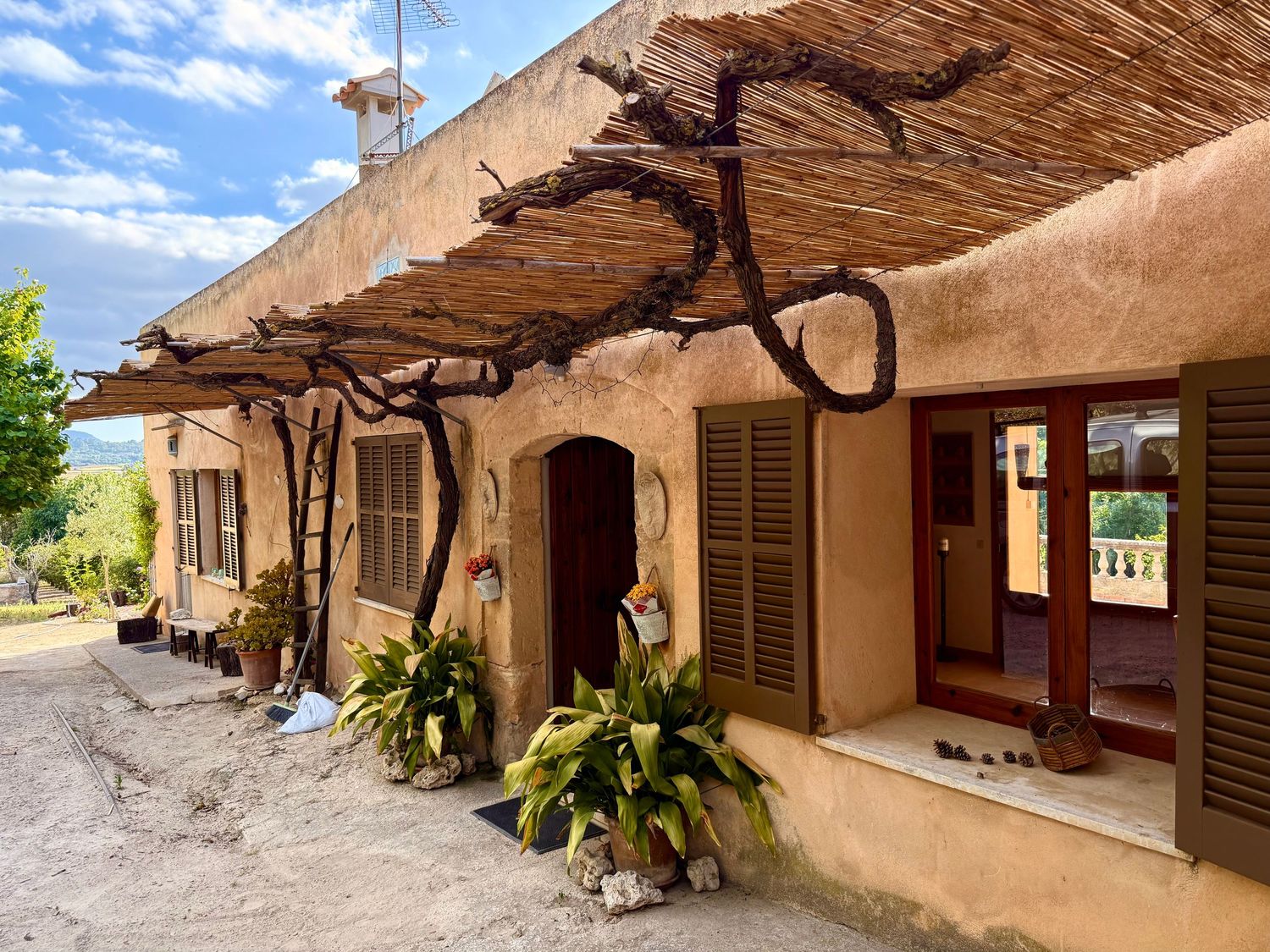 Rustic Mediterranean farmhouse with grapevine pergola, wooden shutters, and lush potted plants on a sunny day.