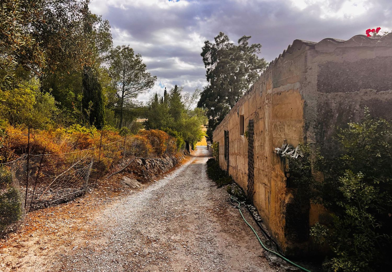 Rustic gravel path beside an ancient stone wall surrounded by autumn trees under a cloudy sky.
