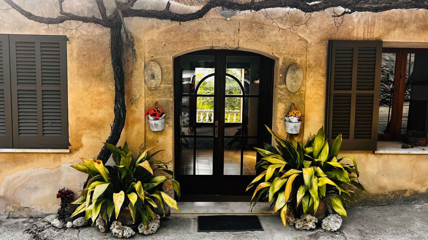Charming rustic entrance with black arched door, yellow stucco walls, wooden shutters, and lush tropical plants in hanging pots.