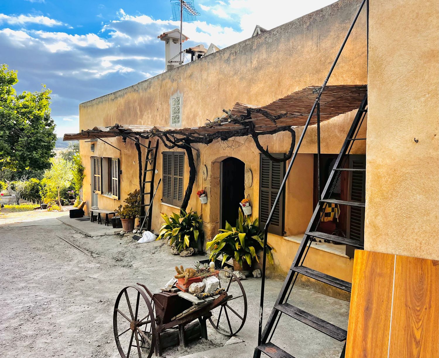 Rustic yellow adobe building with wooden pergola, wagon wheel cart, and ladder under a blue sky.