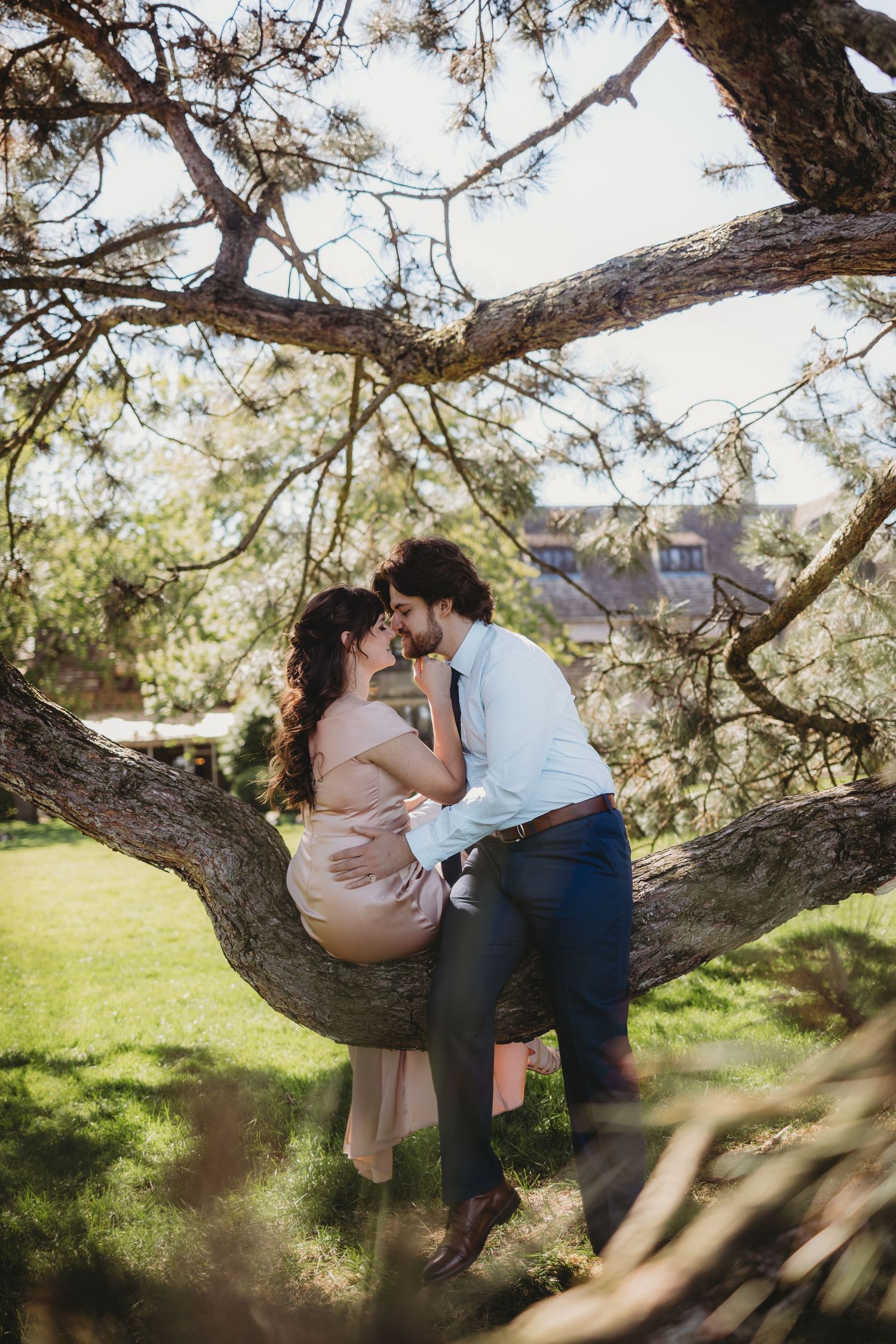 Romantic couple sharing a tender kiss while sitting in the curved branches of a large tree in a sunlit garden.