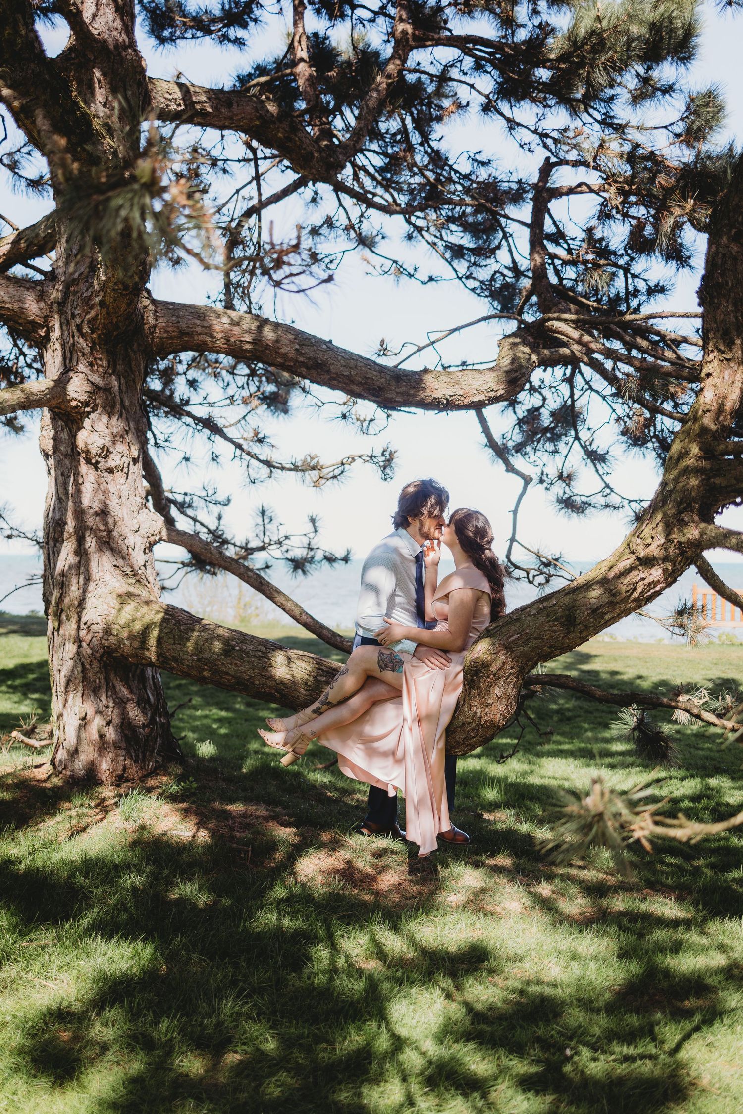 Couple sitting romantically on a large tree branch in a sunlit park during an outdoor engagement session.