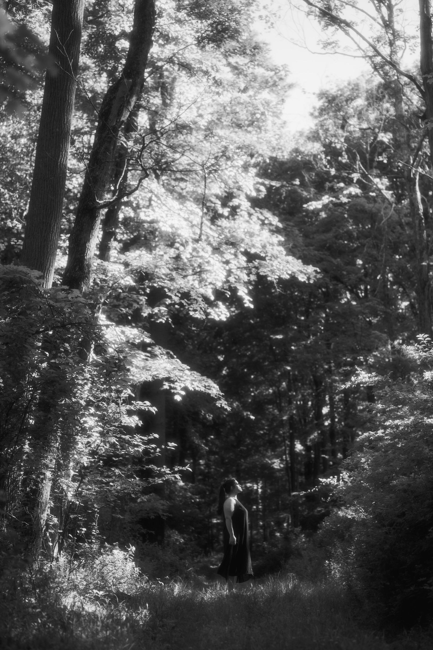 Black and white photo of a lone figure in dark clothing standing on a forest path surrounded by tall trees.